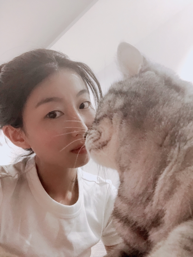彗星猫